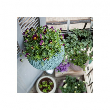 Ghiveci albastru suspendat, Keter Cozies S 3.2 L [4]