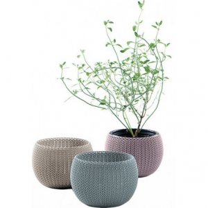 Ghivece pentru flori - Set 3 ghivece, Keter Cozies Trio