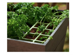 Rasadnita cu etajera, maro, Keter Urban Bloomer [3]