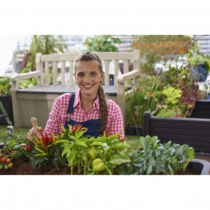 Banca pentru gradina 2 in 1, 265 L, Keter Eden [8]