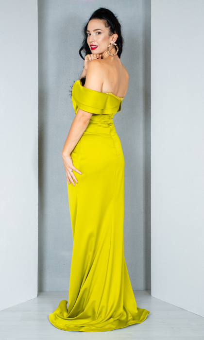 Rochie Aliya lunga fistic [4]