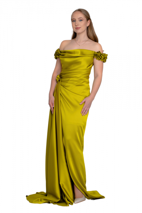 Rochie lunga fistic [5]