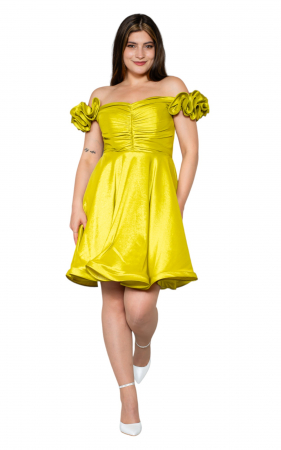 Rochie Amarantha scurta fistic [4]