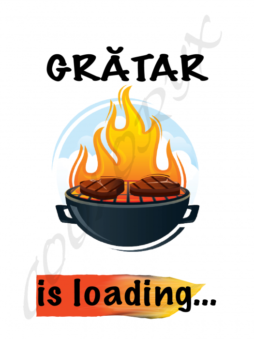 Șorț  Grătar is Loading-Cooloryx [3]