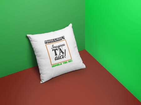 1 Iunie - Perna Minecraft cu Nume și Poză-Cooloryx