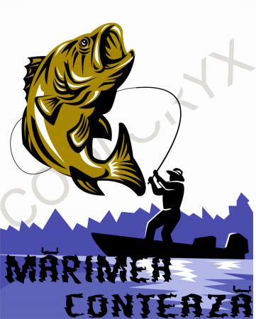 Tricou Marimea Conteaza-Cooloryx [1]