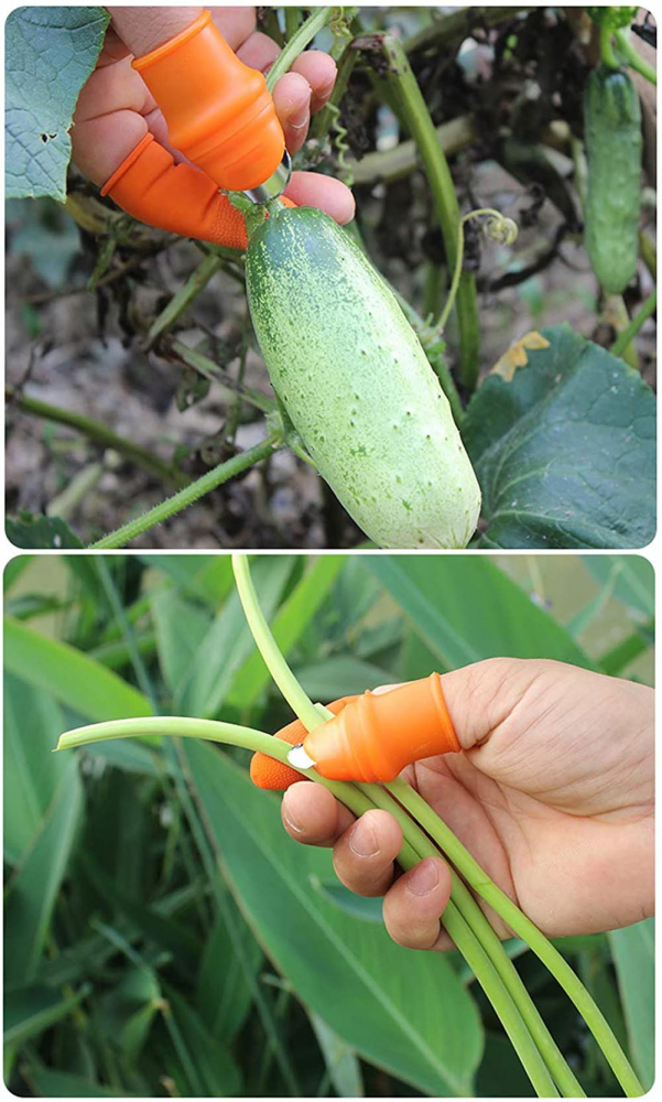 Degetar cu Lama pentru Gradinarit pentru Taiat si Curatat Legume si Fructe, cu 5 Protectii pentru Deget, Femei, CBD CORAL BEST DEALS Portocaliu [14]