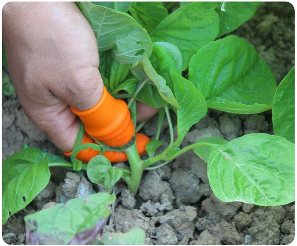 Degetar cu Lama pentru Gradinarit pentru Taiat si Curatat Legume si Fructe, cu 5 Protectii pentru Deget, Femei, CBD CORAL BEST DEALS Portocaliu [4]