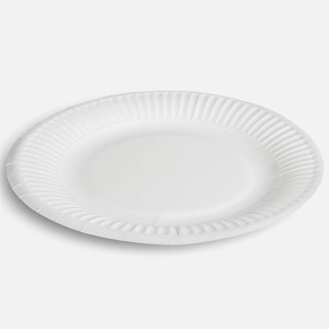 Set 10 Farfurii Ecologice Albe din Hârtie, Ø19,5 cm [2]