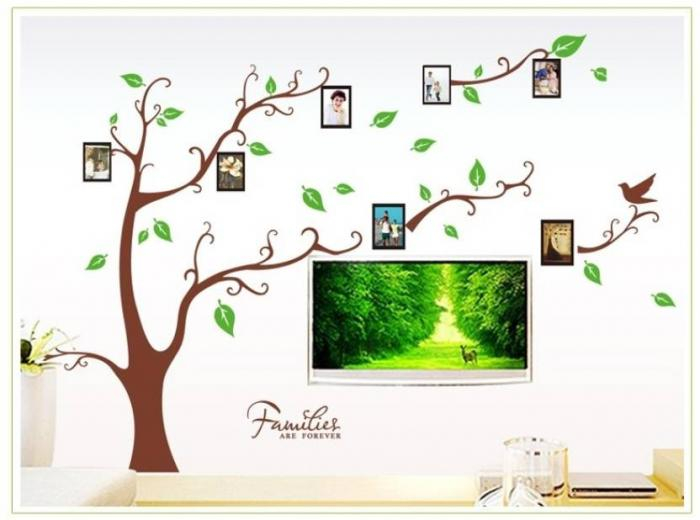 Sticker decorativ cu rame foto, si 12 Rame Foto, Copaci cu Pasari, 290 x 210 cm, pentru perete, CoralBestDeals [6]