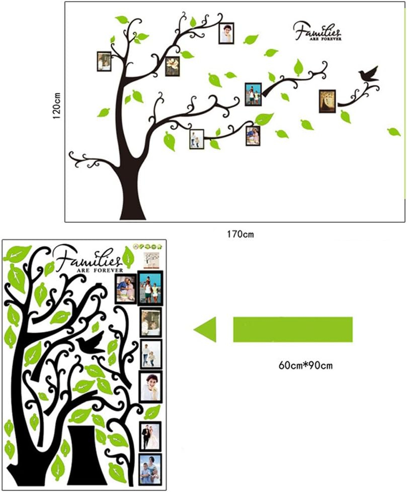 Sticker decorativ cu rame foto, si 12 Rame Foto, Copaci cu Pasari, 290 x 210 cm, pentru perete, CoralBestDeals [7]