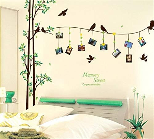 Sticker Decorativ si 12 Rame Foto, Copaci cu Pasari, 290 x 210 cm, CBD CORAL BEST DEALS Verde 60 cm [6]