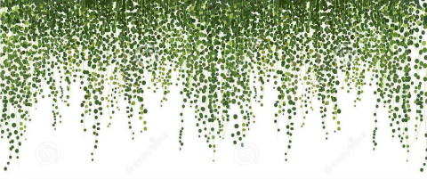 Stickere decorative autoadezive - Autocolant frunze tropicale – montaj pe perete