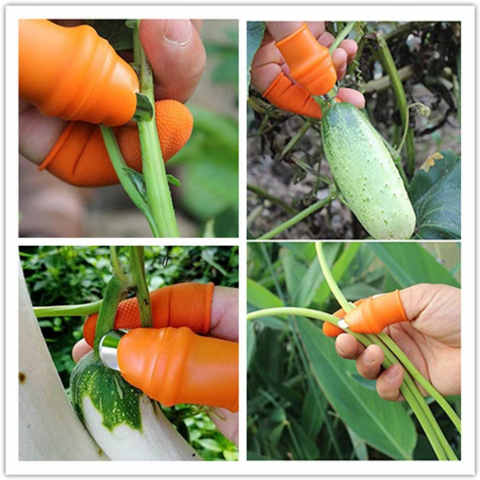 Degetar cu Lama pentru Gradinarit pentru Taiat si Curatat Legume si Fructe, cu 5 Protectii pentru Deget, Femei, CBD CORAL BEST DEALS Portocaliu [4]