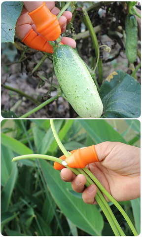 Degetar cu Lama pentru Gradinarit pentru Taiat si Curatat Legume si Fructe, cu 5 Protectii pentru Deget, Femei, CBD CORAL BEST DEALS Portocaliu [13]