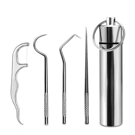 Scobitori - Set 4 Scobitori, din Otel Cromat, Ajuta la Preventia Cariilor, Argintiu, CBD CORAL BEST DEALS