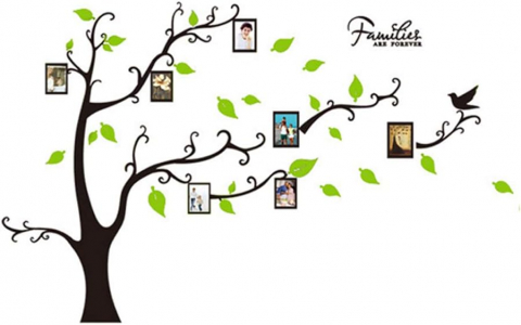 Stickere decorative pentru perete - Sticker decorativ cu rame foto, si 12 Rame Foto, Copaci cu Pasari, 290 x 210 cm, pentru perete, CoralBestDeals