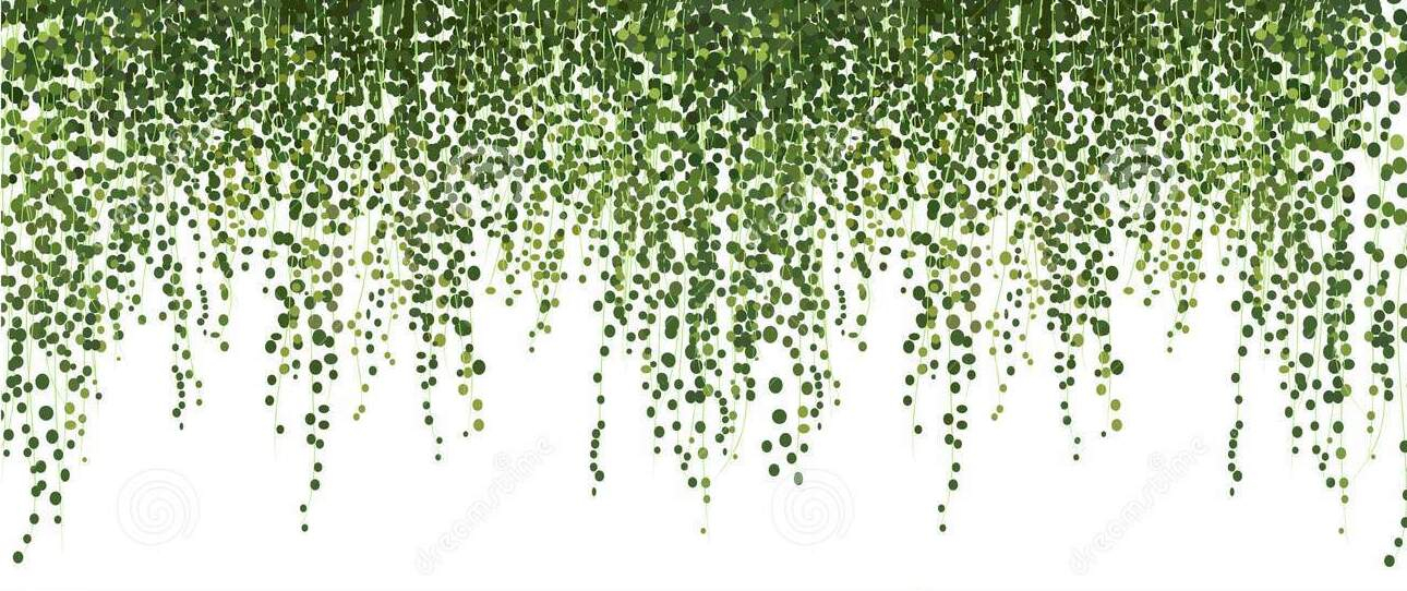 Sticker decorativ autoadeziv cu frunze tropicale, pentru perete și decor interior, CoralBestDeals