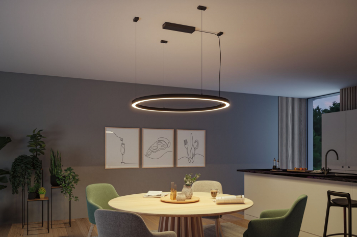 Alimentare profil luminos Linion, negru, 230/24V [4]