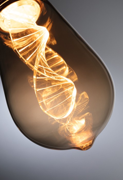 Bec Edison Inner Glow LED Helix, E27, 230V, 180lm, 3,5W, 1800K, auriu [3]