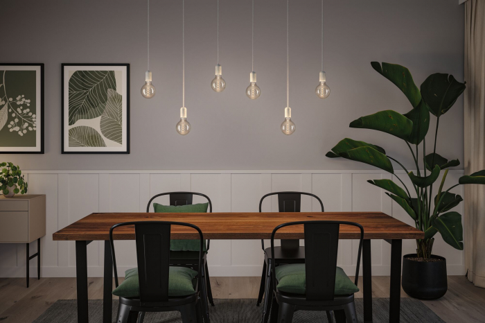 Bec LED Globe Rustic Shine, 230V, cu filament, 170lm, 4,2W, 1800K, cu flux luminos variabil în 3 pași, sticlă afumată [3]