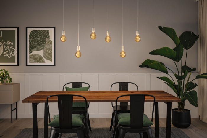 Bec LED Globe Rustic Shine, 230V, cu filament, 300lm, 4,2W, 1800K, flux luminos variabil în 3 pași, auriu [4]