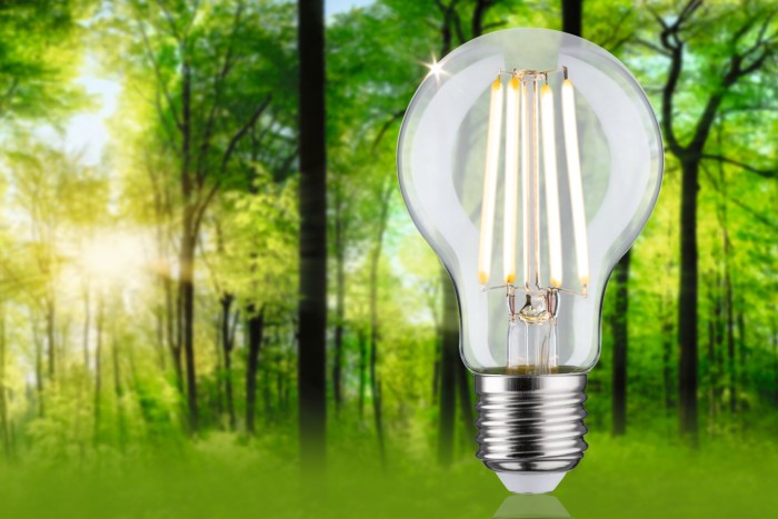 Bec LED pară, cu filament, Eco-Line, 230V, E27, 525lm, 2,5W, 3000K, clar [3]