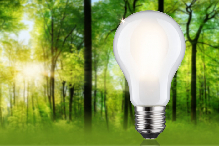 Bec LED pară Eco-Line, 230V, cu filament, E27, 1055lm, 5,7W, 3000K, cu flux luminos variabil în 3 pași, mat [3]