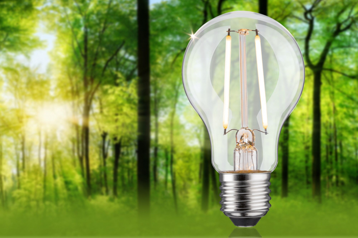 Bec LED pară Eco-Line, 230V, cu filament, E27, 470lm, 2,5W, 3000K, cu flux luminos variabil în 3 pași, clar [3]