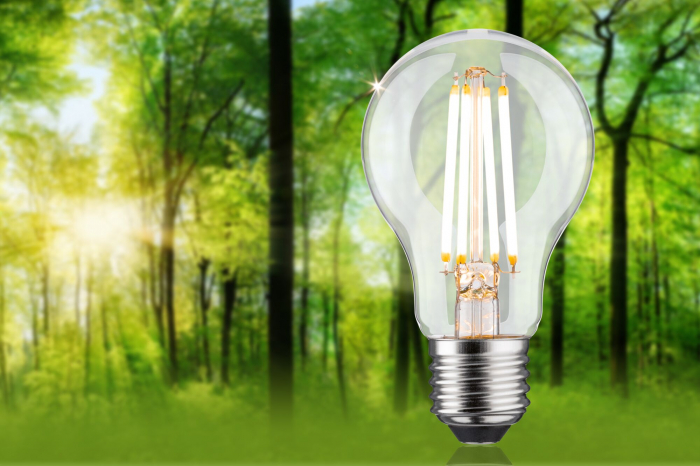 Bec LED pară Eco-Line, 230V, cu filament, E27, 806lm, 4.3W, 3000K, cu flux luminos variabil în 3 pași, clar [3]