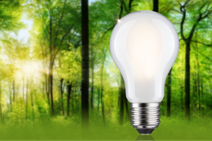 Bec LED pară Eco-Line, 230V, cu filament, E27, 806lm, 4.3W, 3000K, cu flux luminos variabil în 3 pași, mat [3]