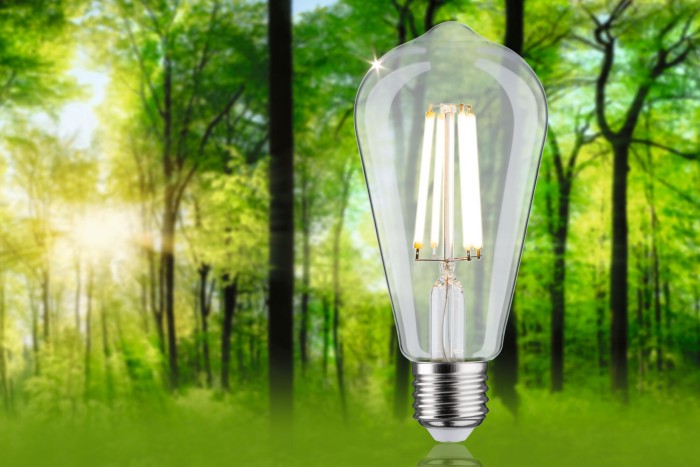Bec LED ST64, cu filament, Eco-Line, 230V, E27, 840lm, 4W, 4000K, clar [3]