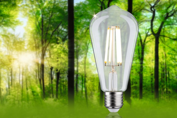 Bec LED ST64, cu filament, Eco-Line, 230V, E27, 840lm, 4W, 3000K, clar [3]