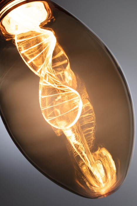 Bec Pară Inner Glow LED Helix, E27, 230V, 180lm, 3,5W, 1800K, auriu [3]