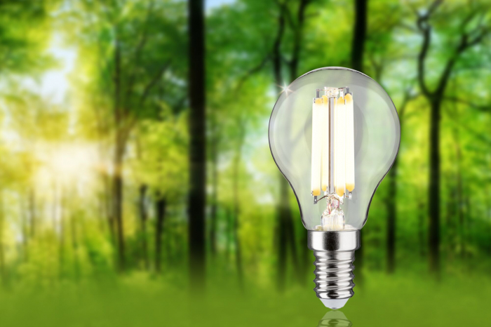 Bec sferic Eco-Line 230 V cu filament LED, E14, 82mm, 525lm, 2,5W, 3000K, clar [4]
