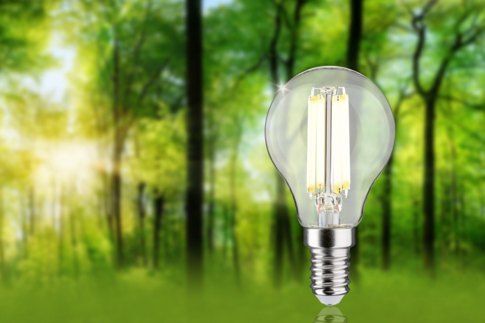 Bec sferic Eco-Line 230 V cu filament LED, E14, 82mm, 525lm, 2,5W, 4000K, clar [4]