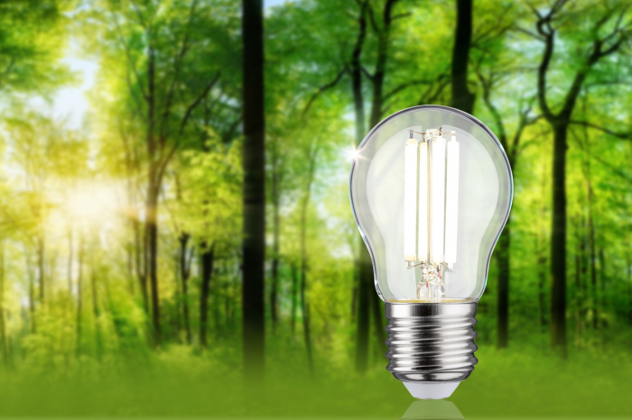 Bec sferic Eco-Line 230V, cu filament LED, 80 mm, 525lm, 2,5W, 4000K, clar [3]