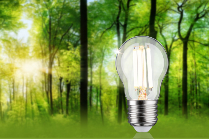 Bec sferic Eco-Line 230V, cu filament LED, 80 mm, 840lm, 4W, 3000K, clar [3]