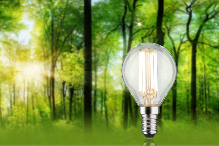 Bec sferic LED Eco-Line, 230V, cu filament, E14, 78 mm, 840lm, 4W, 3000K, clar [3]