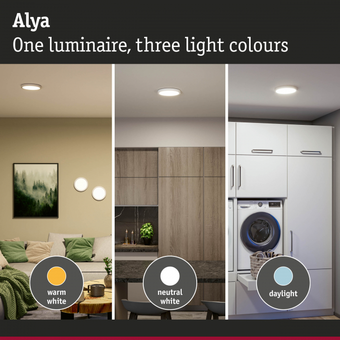 LED Panel Alya   round 230mm  17W 1700lm 3000 - 6500K White [9]