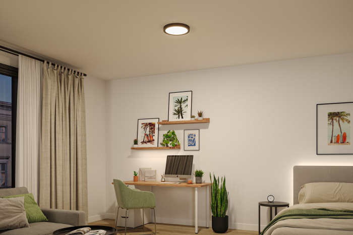 Panou LED Abia 2, White Select, cu senzor crepuscular și de mișcare, rotund, 300mm, 14W, 1000lm, 2700 - 4000K, negru [5]