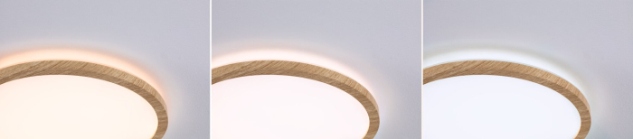 Panou LED Atria Shine, IP44, rotund, 298mm, 14,8W, 2250lm, 3000 - 6500K, lemn [4]