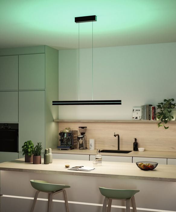 Pendul LED Raiko, RGBW+, cu flux luminos variabil, 2300lm / 370lm, 19W / 6W, negru [2]