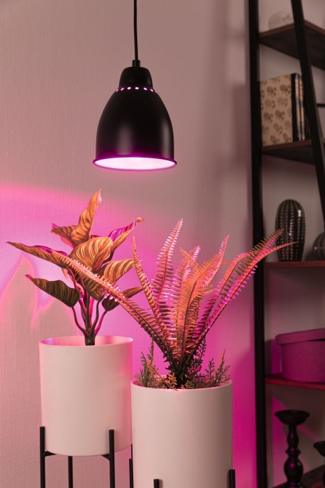 Pendul Neordic Hilla max. 1x40W, E27, negru, 230V, metal [8]