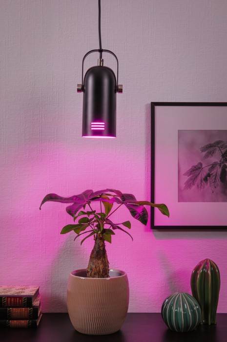 Pendul Neordic Lavea max. 1x15W, E27, negru, 230V, metal [8]