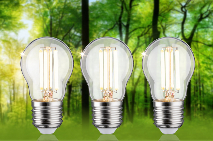Set de 3 becuri sferice Eco-Line, 230V, cu filament LED, 80 mm, 525lm, 2,5W, 3000K, clar [3]
