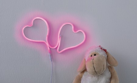 Bandă LED Neon Colorflex USB roz 1m 4,5W 5V [2]