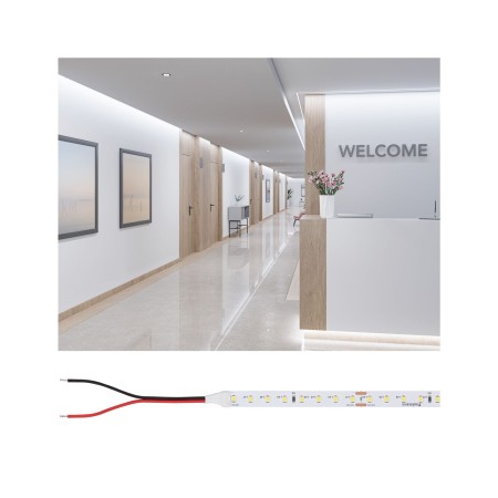 Bandă Pro - Bandă Pro LED Gold P150, 965, 5m, 30W, 790lm/m, 96LEDs/m, 6500K