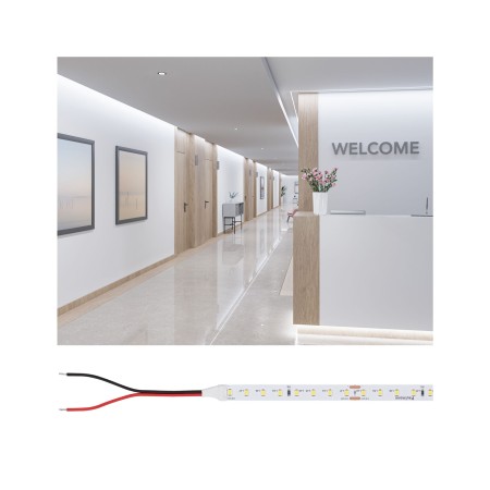 Benzi LED - Bandă Pro LED Gold P75, 965, 10m, 55W, 790lm/m, 96LEDs/m, 6500K