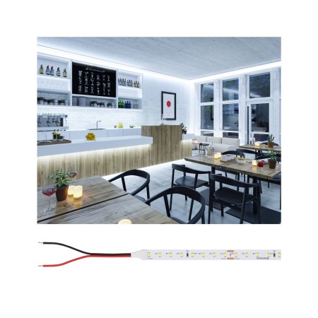 Benzi LED - Bandă Pro LED Silver P75, 865, 5m, 23W, 750lm/m, 96LEDs/m, 6500K